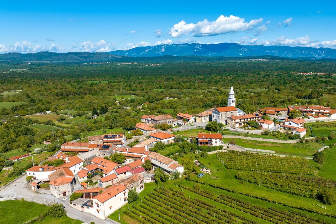 فيلا Karst House Zan Pliskovica With Private Pool Dutovlje المظهر الخارجي الصورة